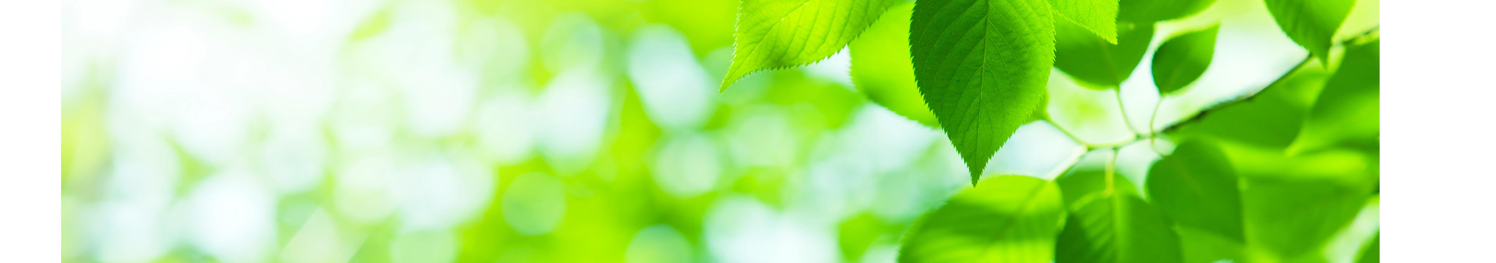 環境への取り組み